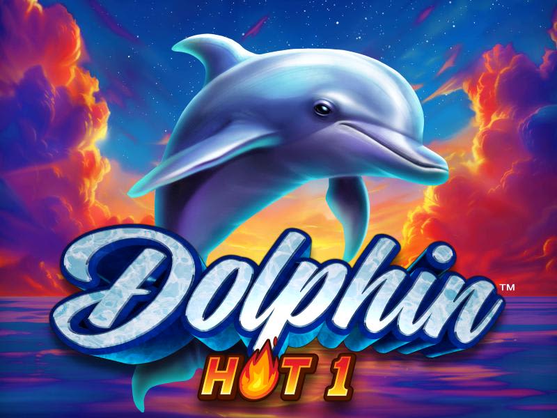 Dolphin Hot 1