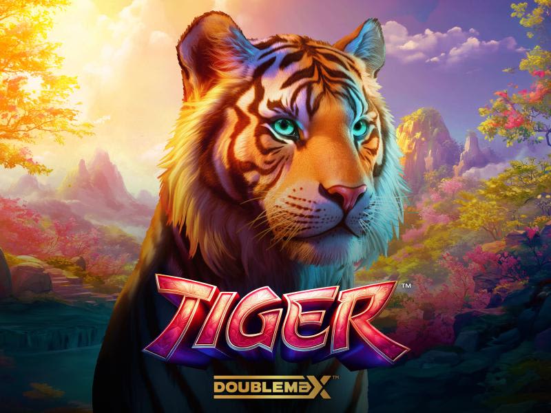 Tiger DoubleMax™