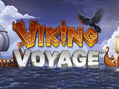 Viking Voyage