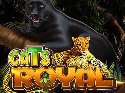 Cats Royal