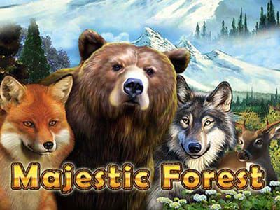 Majestic Forest