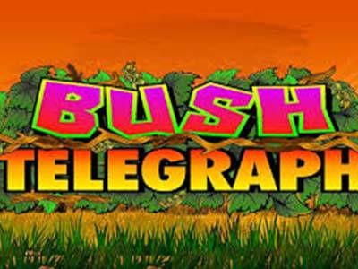 Bush Telegraph