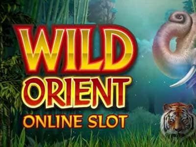 Wild Orient