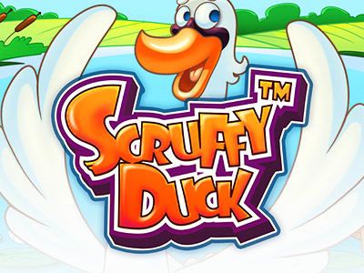 Scruffy Duck