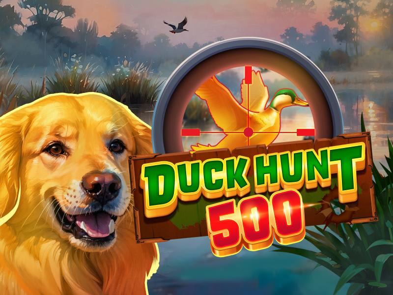 Duck Hunt 500