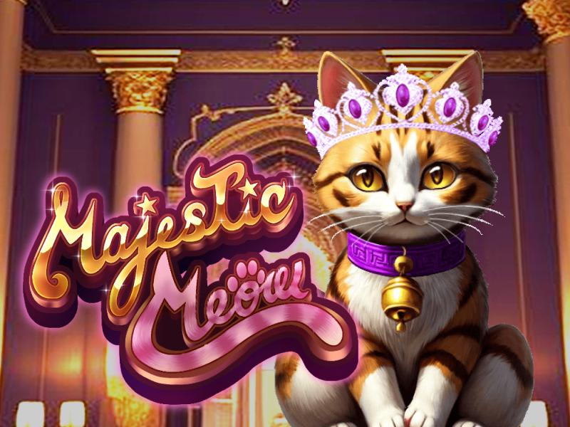 Majestic Meow