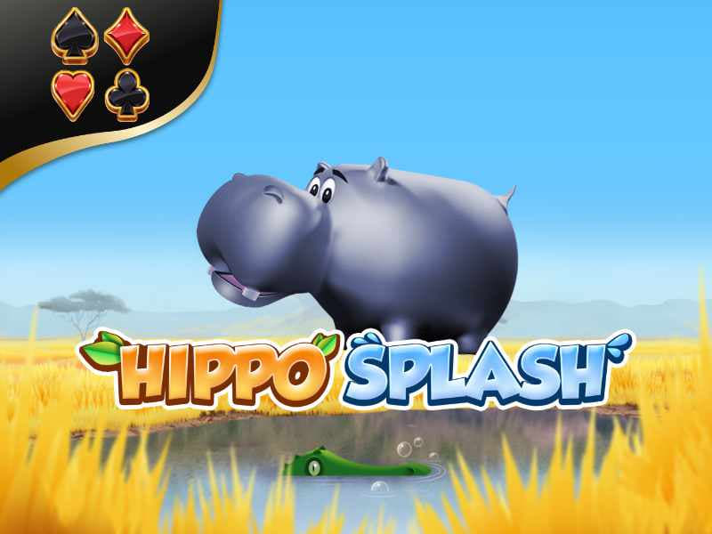 Hippo Splash