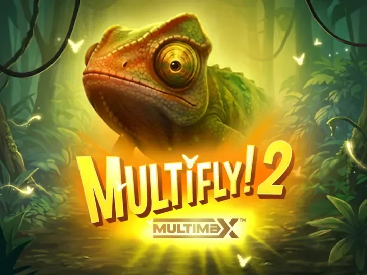 Multifly! 2