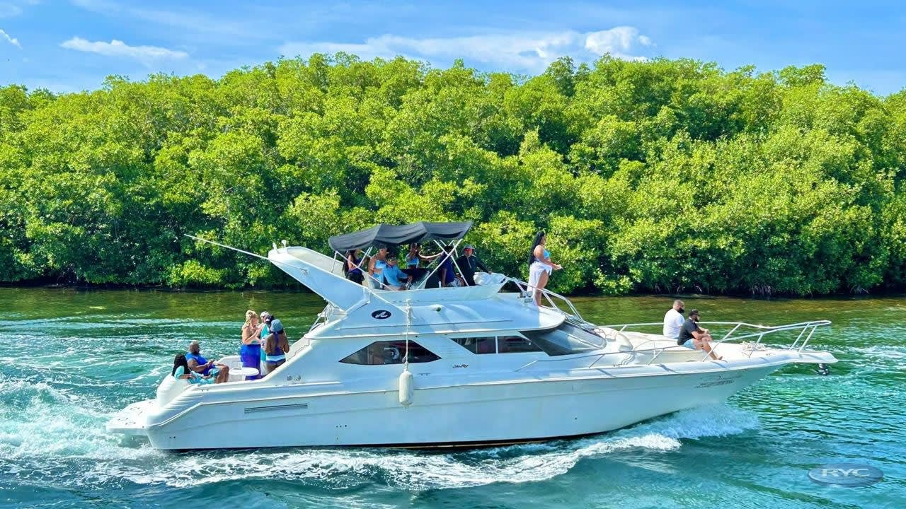 A white Sea Ray yacht charter filled with a group of people enjoying a sunny cruise past lush green mangroves in Cancun. This exemplifies a memorable corporate team-building activity or MICE incentive excursion in the Mexican Caribbean.