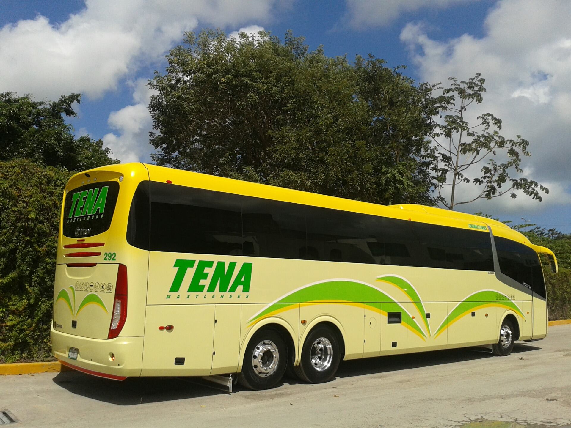 The rear view of a yellow TENA luxury bus parked outdoors under a bright sky and trees. The large vehicle emphasizes capacity for corporate bus rental and secure group logistics, crucial for large MICE movements, conventions, or private tours in Mexico.