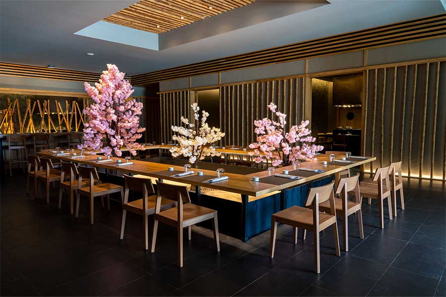 Interior of the Japanese Teppanyaki restaurant at Majestic Elegance Costa Mujeres, featuring a large communal wooden table decorated with cherry blossom trees, ideal for intimate MICE group dinners, executive networking, and themed corporate eventsInterior of the Japanese Teppanyaki restaurant at Majestic Elegance Costa Mujeres, featuring a large communal wooden table decorated with cherry blossom trees, ideal for intimate MICE group dinners, executive networking, and themed corporate events