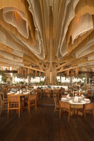 Interior view of a unique Cancún restaurant designed around a large, central tree-like wooden structure, with a dramatic, flowing fabric ceiling installation. The dining area features set tables with woven chairs on a dark wood floor, showcasing capacity for large groups. This highly stylized venue is excellent for MICE industry gala dinners, unforgettable incentive travel closing events, and corporate banquets seeking a signature, memorable setting.