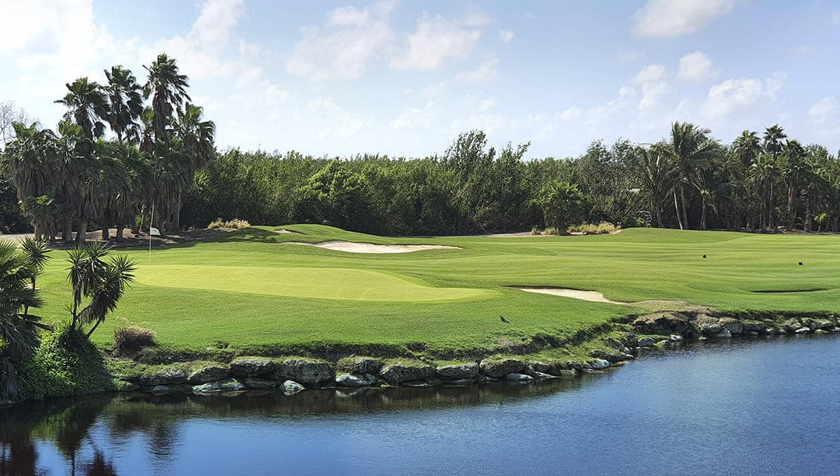 A tropical green at Riviera Cancun Golf Club, featuring a beautiful water hazard edge, sand bunkers, and surrounding palm trees. An exclusive setting for corporate golf outings, team-building activities, and a relaxing experience for MICE attendees.