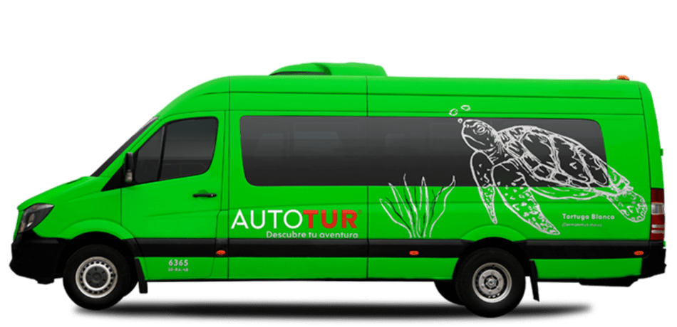 Bright green Mercedes-Benz Sprinter-style minibus for MICE transportation, featuring "AUTOTUR" branding and a sea turtle graphic. Ideal for small to mid-sized group transfers, executive team shuttles, and luxury airport service for incentive travel and corporate events. Keywords: MICE shuttle, Sprinter van rental, small group transport, corporate transfers, executive team travel.