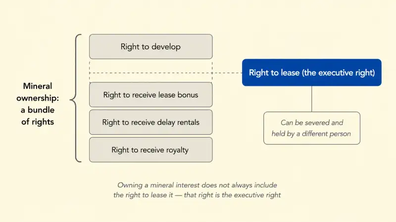 Diagram of the mineral ownership bundle of rights showing the right to develop, lease, bonus, delay rentals, and royalty, with the right to lease highlighted as the executive right that can be severed and held by a different person.