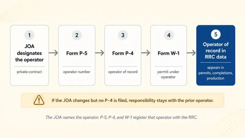 Sequence showing that a JOA designates the operator by private contract, then the P-5 organization report, P-4 operator-of-record transfer, and W-1 drilling permit register that operator with the RRC, after which permits, completions, and production appear under the operator.