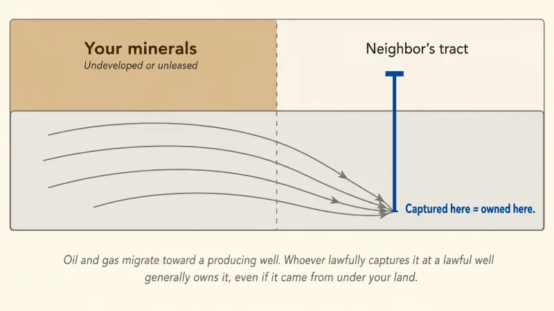 Cross-section of two neighboring tracts where oil and gas migrate underground from beneath an undeveloped tract toward a lawful well on the neighbor's tract, which captures and owns the produced hydrocarbons.