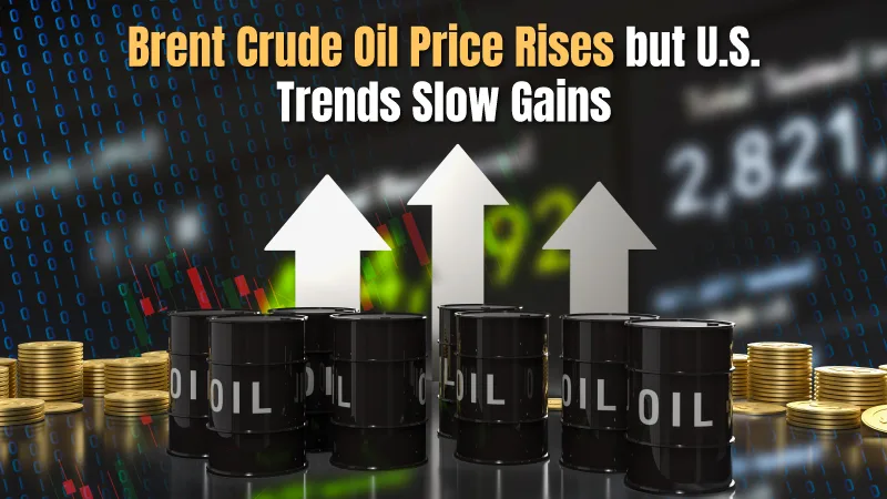 Brent Crude Oil Price Today, Future Forecast & Common Uses