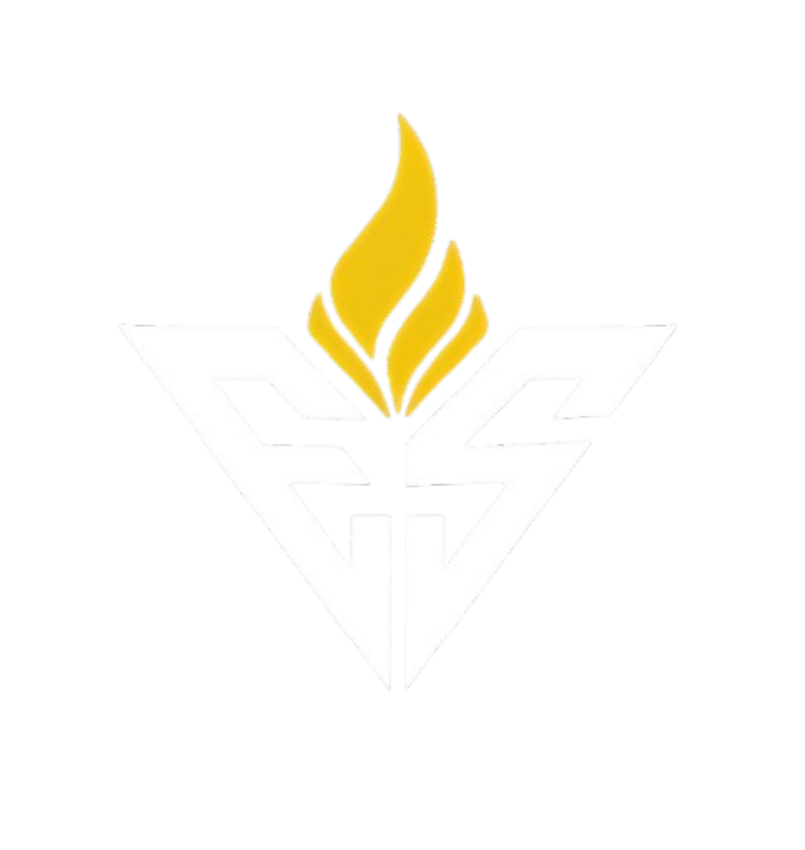 EMIsport logo