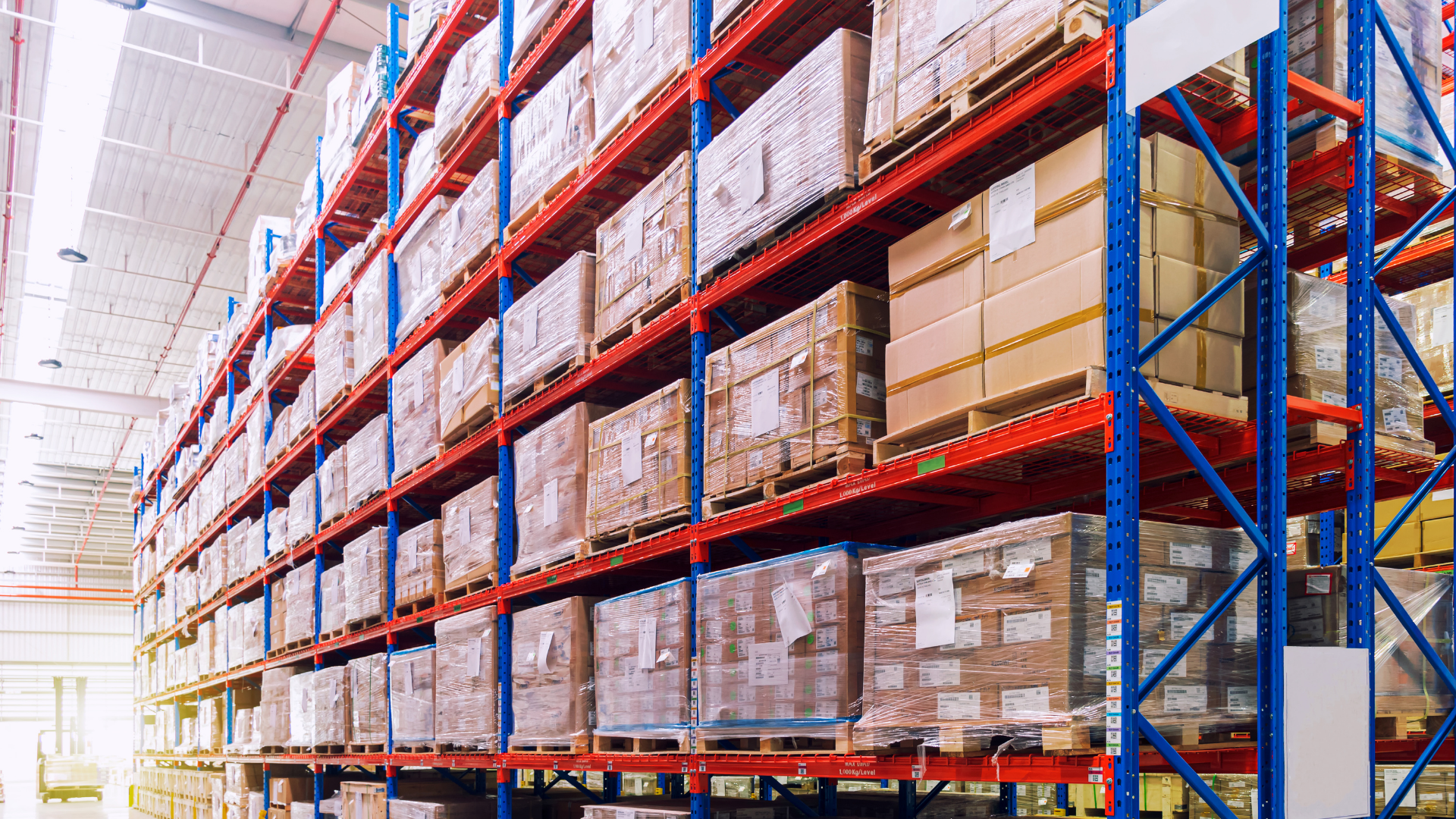Distribution & Wholesale