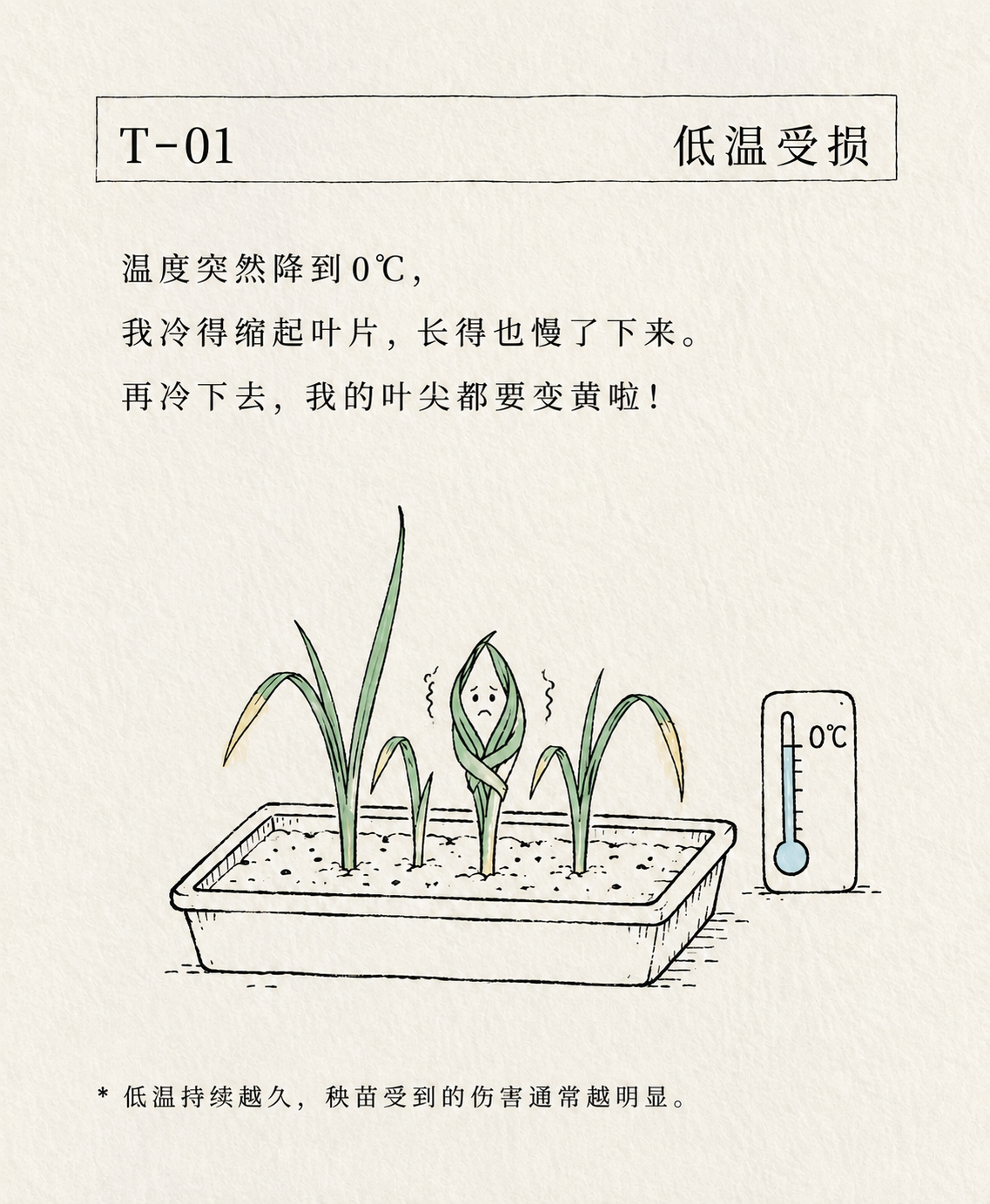 低温受损卡片