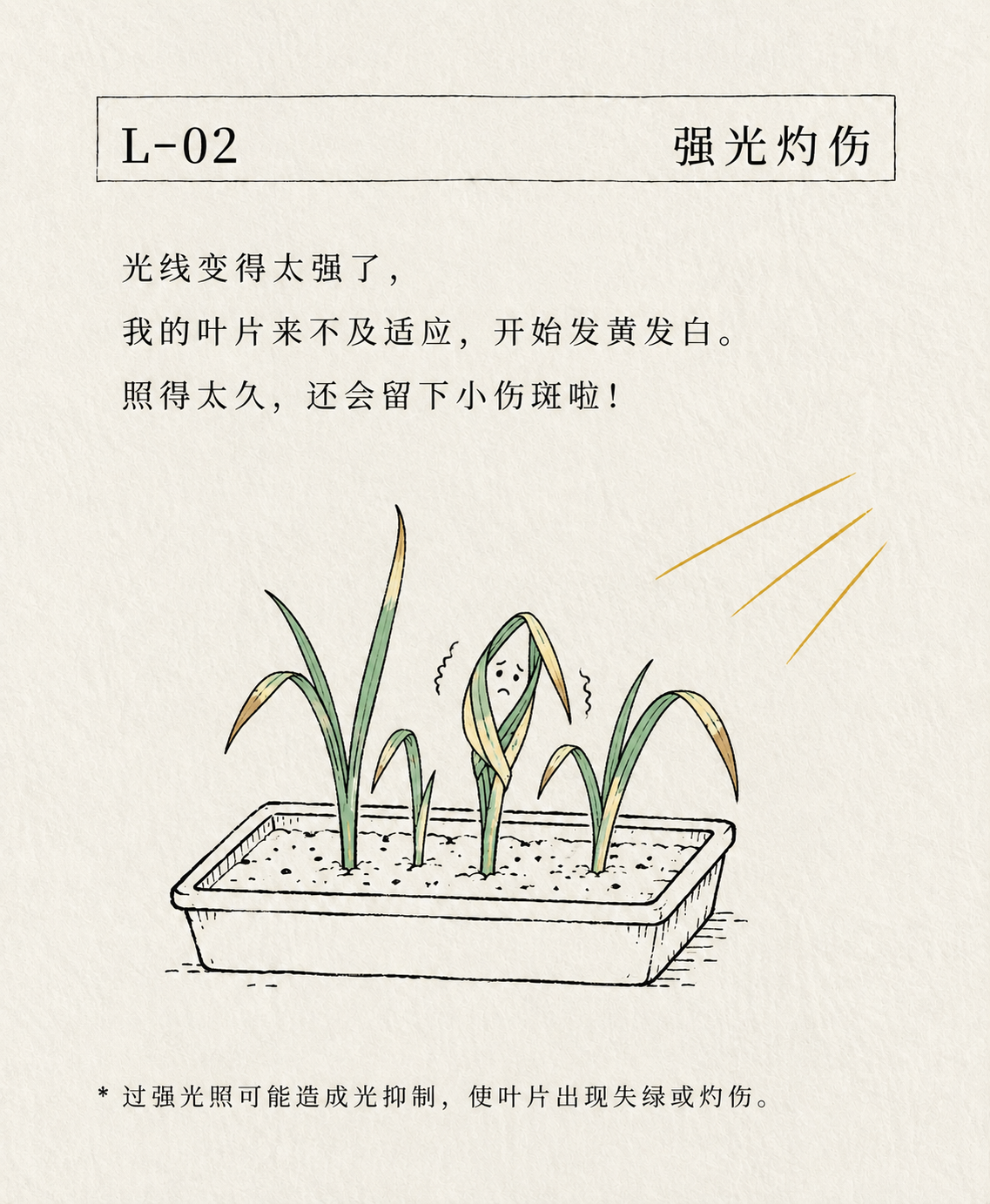 强光灼伤卡片
