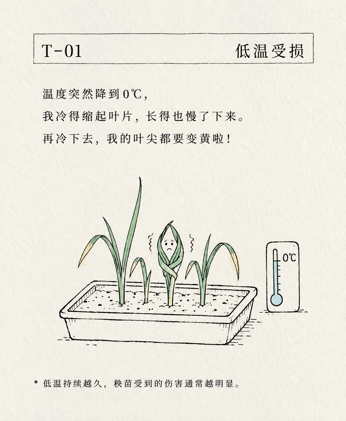 低温受损卡片