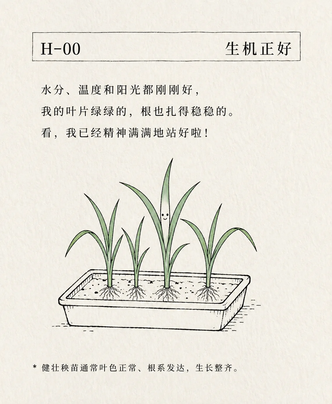 生机正好卡片
