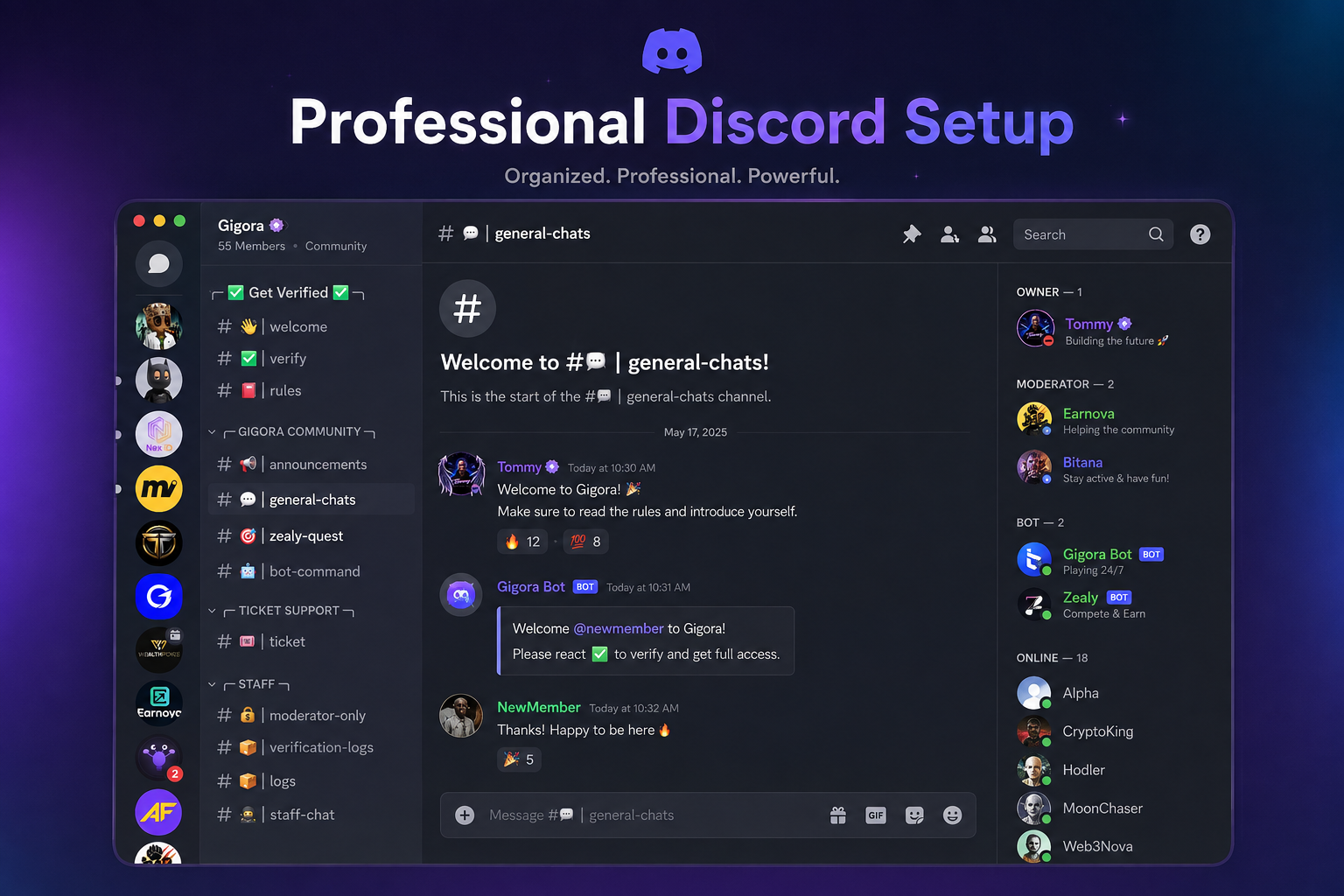I'll create professional Discord Server setup for your community