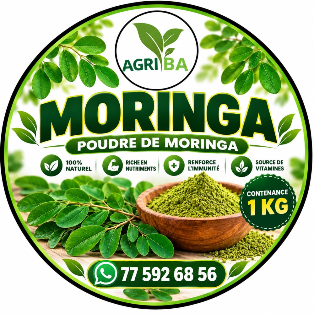 poudre Moringa