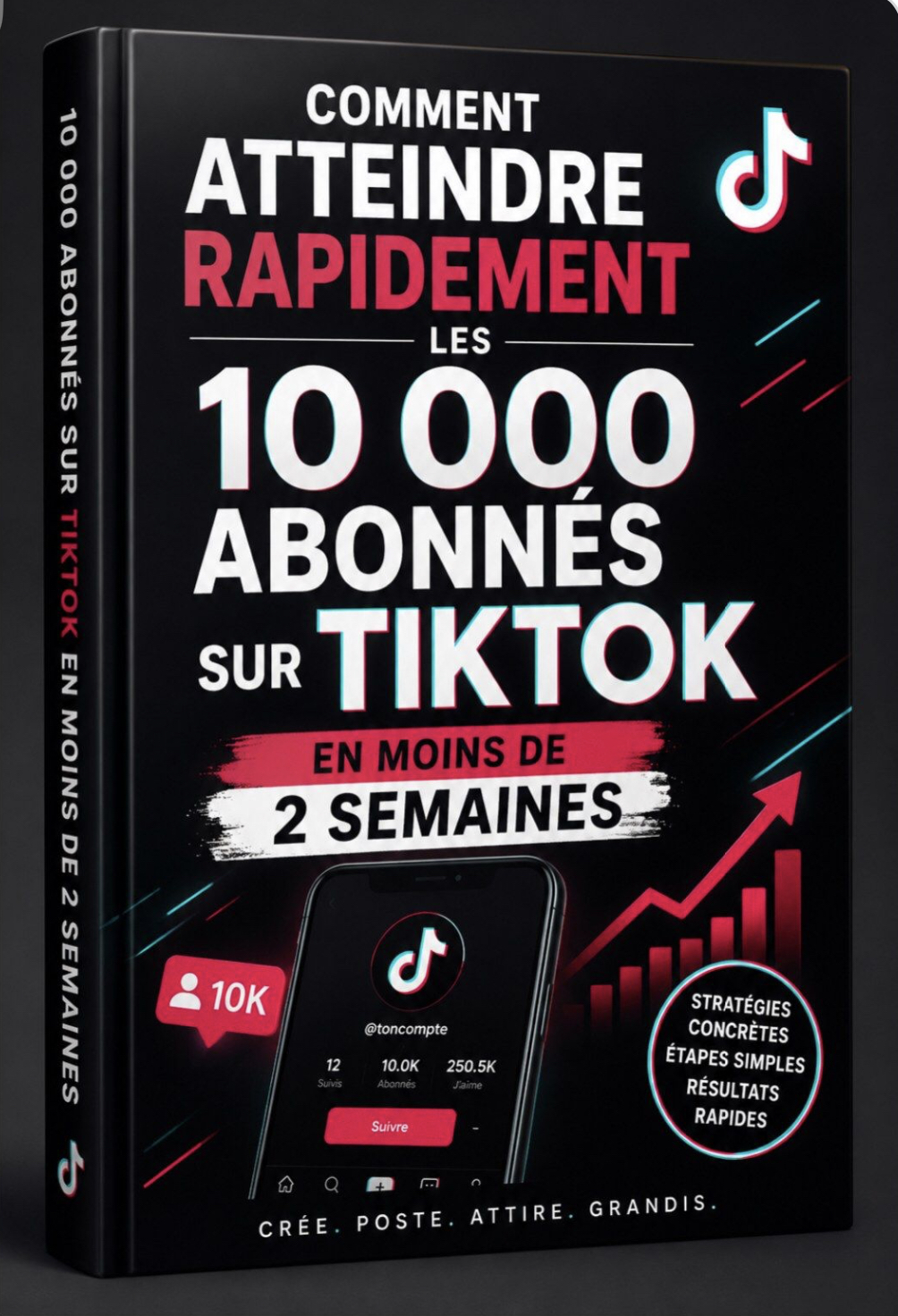 Méthode TikTok Money : Comment Monétiser TikTok Depuis l'Afrique (copy)
