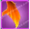 Rgb Infernal Wings
