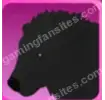 Black Bear
