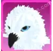 Snowy Owl