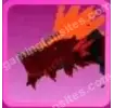 Ignis, Fire Dragon