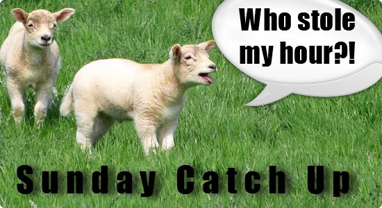 sunday catch up round up of productivity blogs