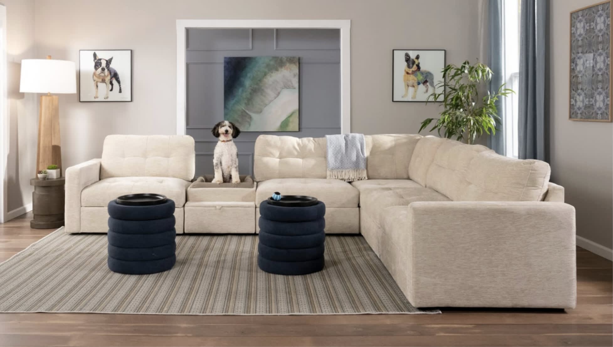 Cozy living room with beige sectional sofa and two navy ottomans on a striped rug. A dog sits on the sofa, surrounded by dog-themed wall art and a potted plant, conveying a warm and inviting atmosphere.