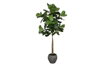 7' Faux Fiddle Leaf Fig Tree