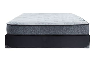 Charm 8.5'' Queen Plush Standard Mattress Set