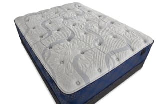Indulgence 15'' Queen Plush Standard Mattress Set