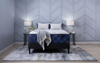 Indulgence 15'' Queen Plush Standard Mattress Set