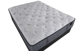 Envy 15.5'' Queen Firm Standard Mattress Set