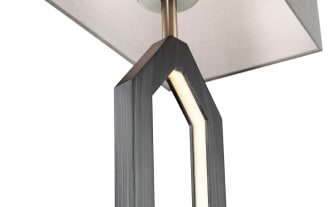 Canyon 60'' Gray LED Floor Lamp