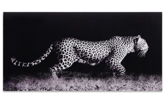 Leopard on Black Tempered Glass Art Panel