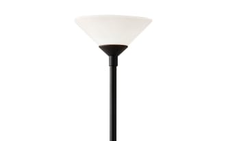 Netti 73'' Black Floor Lamp