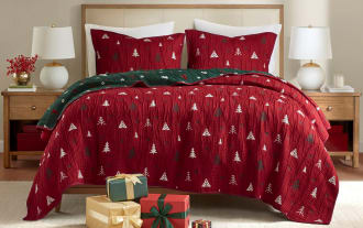 Noelle Queen Red 3 Piece Reversible Coverlet Set