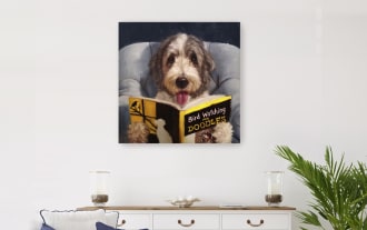 Curious Canine Reader canvas wall art featuring a gray and white dog reading a yellow and black book, printed on archival canvas and hand-stretched over solid wood.