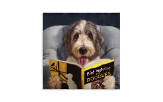 Curious Canine Reader canvas wall art featuring a gray and white dog reading a yellow and black book, printed on archival canvas and hand-stretched over solid wood.