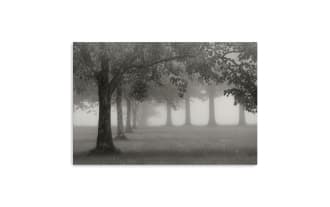 Morning Fogline canvas wall art featuring misty gray trees in fog, printed on thick archival polyester canvas, hand-stretched over solid wood frame, traditional style.