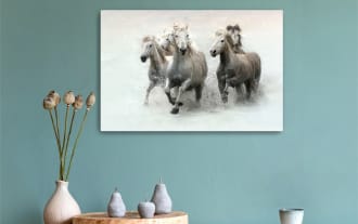 Five white and gray horses running through shallow water, splashing droplets, against a soft pastel background, showcasing dynamic motion and strength.
